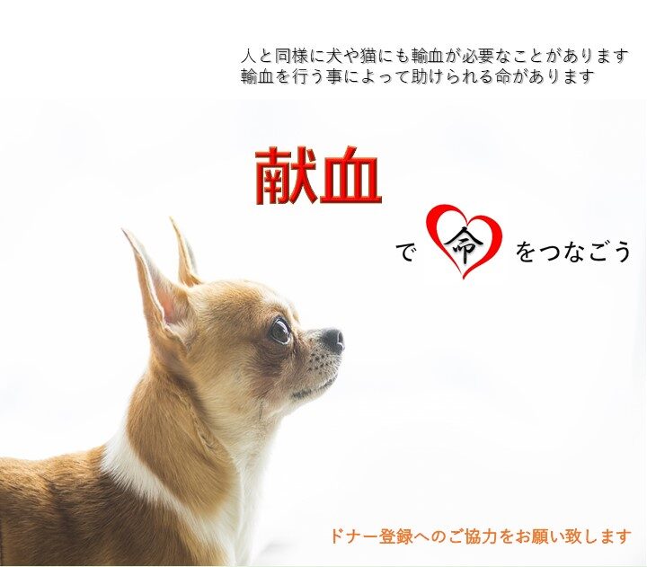 献血ご協力のお願い